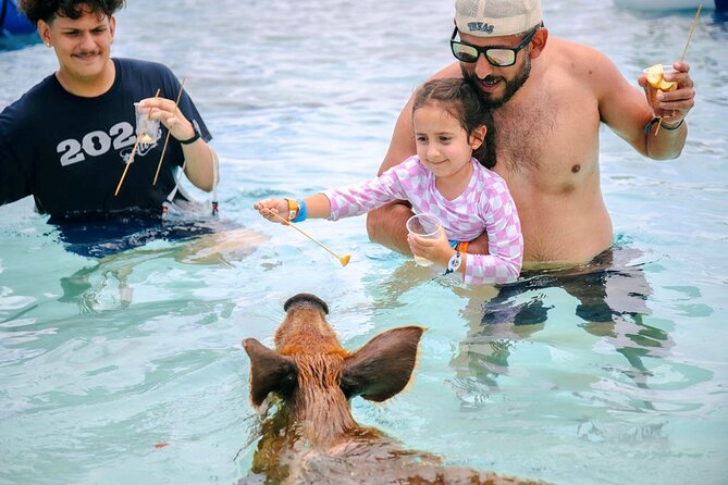 Swimming Pigs Of Rose Island Water Taxi Nassau Bahamas - Key points to know before you book