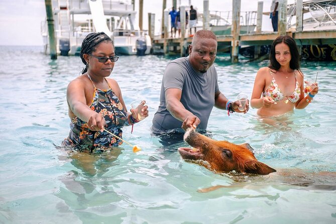 Swimming Pigs Of Rose Island Water Taxi Nassau Bahamas - Passing Pearl Island, Atlantis, and Ocean Club Estates