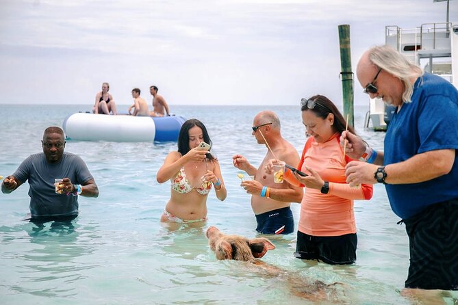 Swimming Pigs Of Rose Island Water Taxi Nassau Bahamas - Family fun, with a few practical warnings