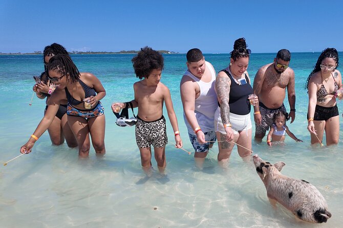 Swimming Pigs, Snorkeling and Beach Tour in Nassau Bahamas - What the $145 price really buys you
