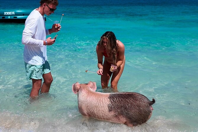 Swimming Pigs, Snorkeling and Beach Tour in Nassau Bahamas - The harbor cruise past Atlantis and Nassau’s waterfront