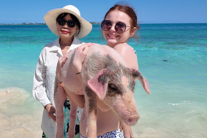 Swimming Pigs, Snorkeling and Beach Tour in Nassau Bahamas - How the crew shapes the experience