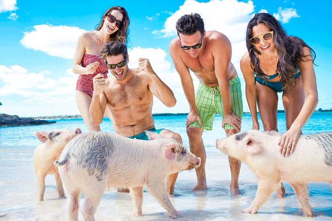 Swimming Pigs, Turtles & Reef Snorkel in Nassau-Champion Tours - What a four-hour private boat trip really gives you