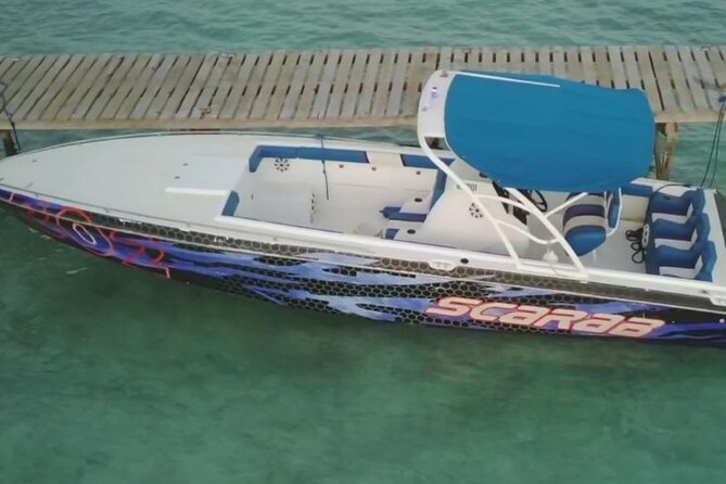Swimming Pigs, Turtles & Reef Snorkel in Nassau-Champion Tours - Who will get the best value from this tour