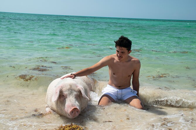 Swimming with Pigs in Nassau, Transportation Included - Lunch and the beach shack