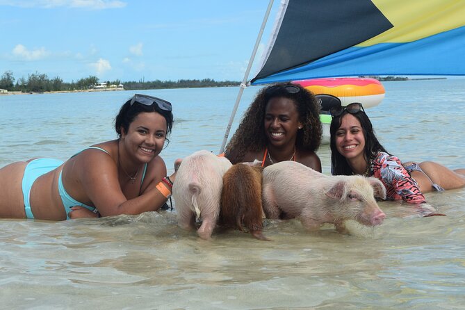 Swimming with Pigs in Nassau, Transportation Included - What the $179 price really covers