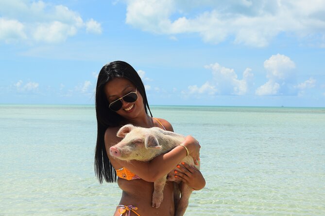 Swimming with Pigs in Nassau, Transportation Included - Who will enjoy this Nassau excursion