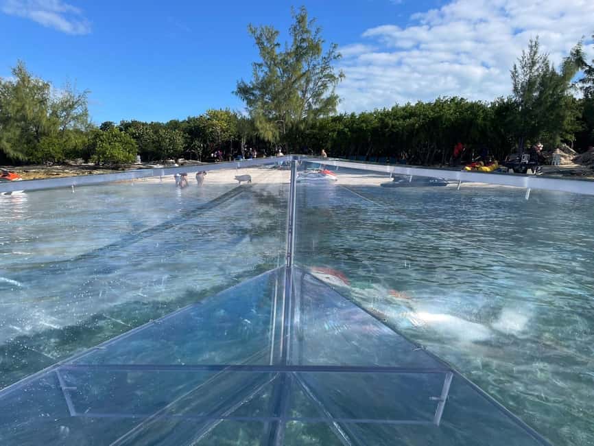The Clear Boat Experience Bahamas drinks and snacks included - The sea garden stop and marine life
