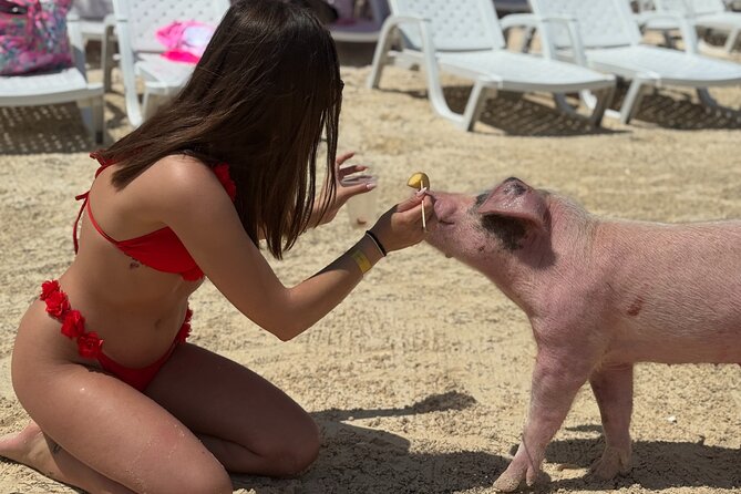 The Ultimate Bahamian Beach Day: Pigs, Jet Ski, Snorkeling & More - Timing, meeting point, and practical details