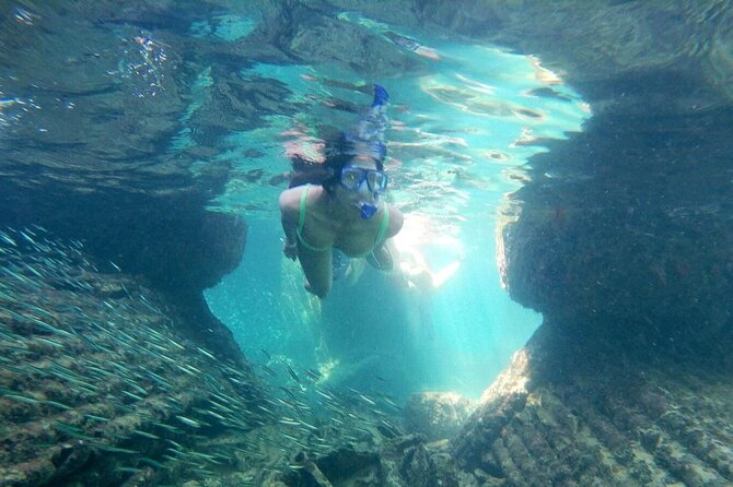 Top 4 Snorkeling Adventures in Bimini - Shark Arena is the headline attraction