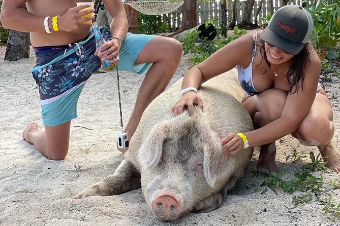 Ultimate SeaXscape Pigs/Turtles/Snorkel/Lunch/Drinks/PU/DO - A packed Nassau morning on the water