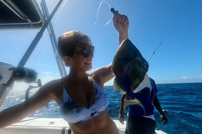 Ultimate SeaXscape Pigs/Turtles/Snorkel/Lunch/Drinks/PU/DO - Looking for sea turtles in the open water