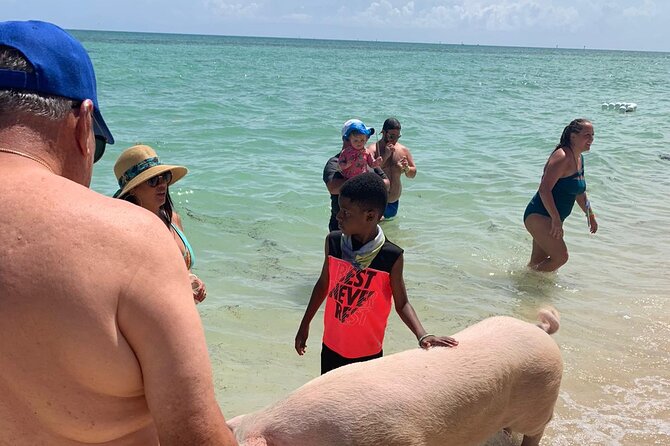 Ultimate SeaXscape Pigs/Turtles/Snorkel/Lunch/Drinks/PU/DO - Conch ceviche and a quick Bahamian lesson